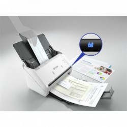 ESCANER EPSON BUSINESS...